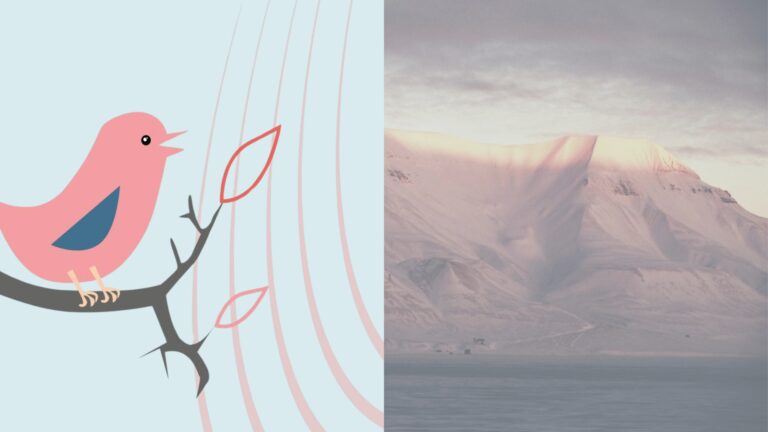 Barnehagesangskatter i Bevegelse – familieforestilling